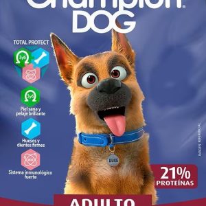 CHAMPION DOG ADULTO 18KG