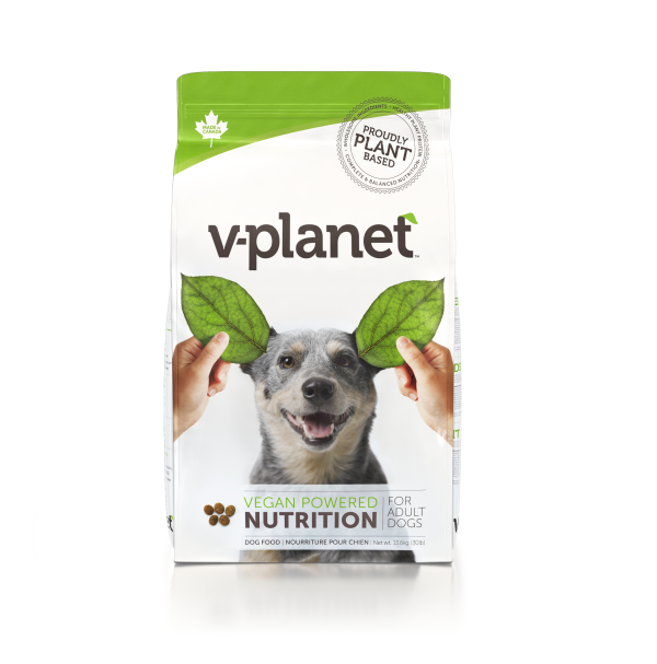 V Planet Regular 13,6 kg